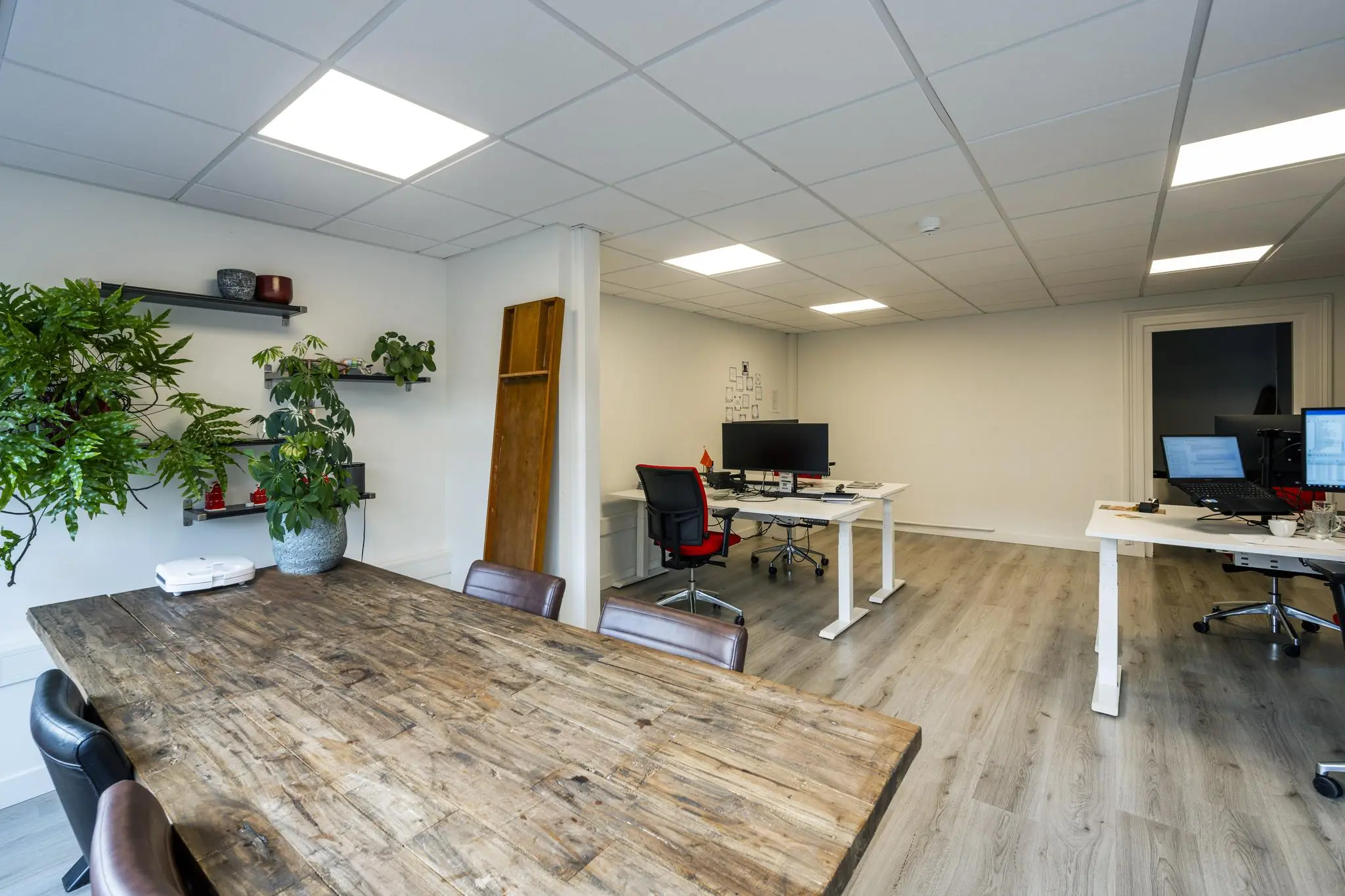 Moderne kantoorruimte aan de Nieuwe Gracht met houten vergadertafel, bureaus met computers en groene planten aan de muur.